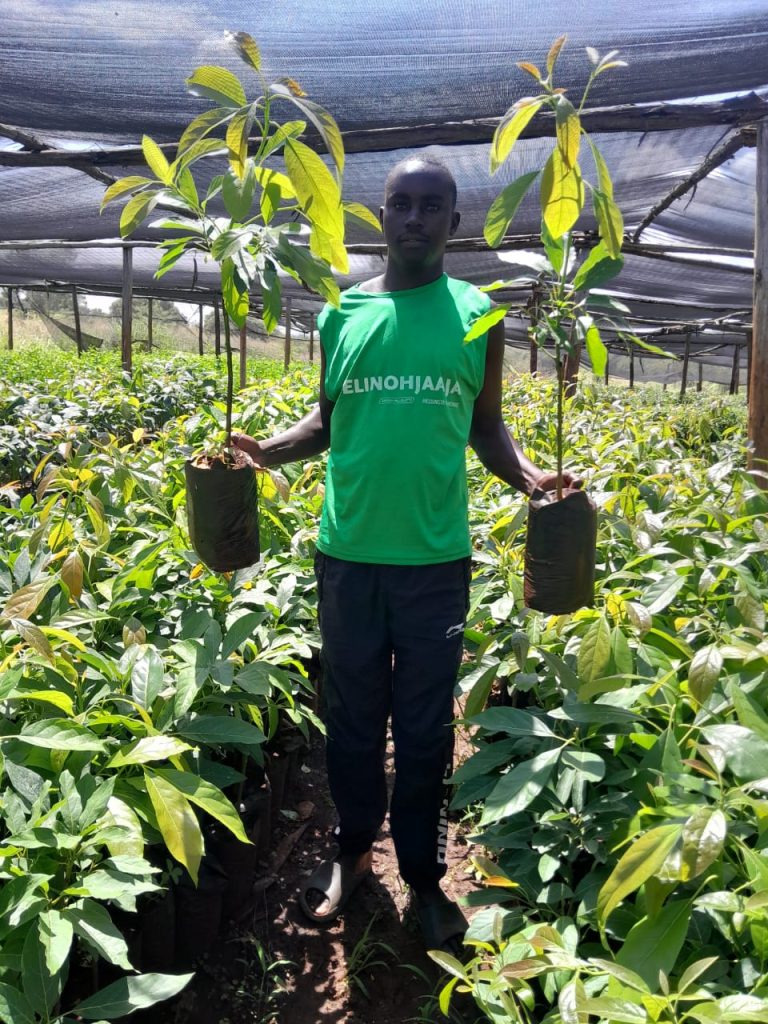 fRUIT aFRICA SEEDLINGS