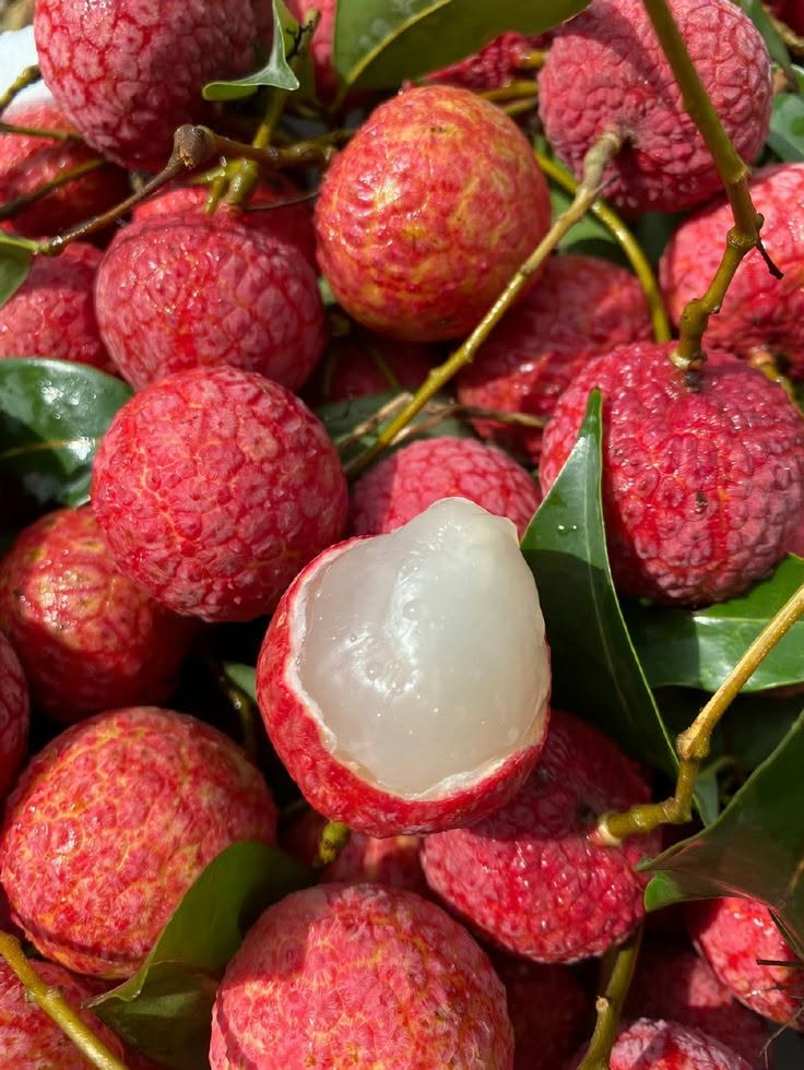 Lychee Fruits