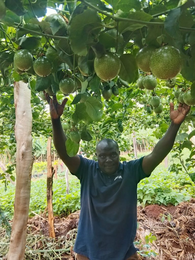 A farmer at his yellow passion fruit farm in Kenya