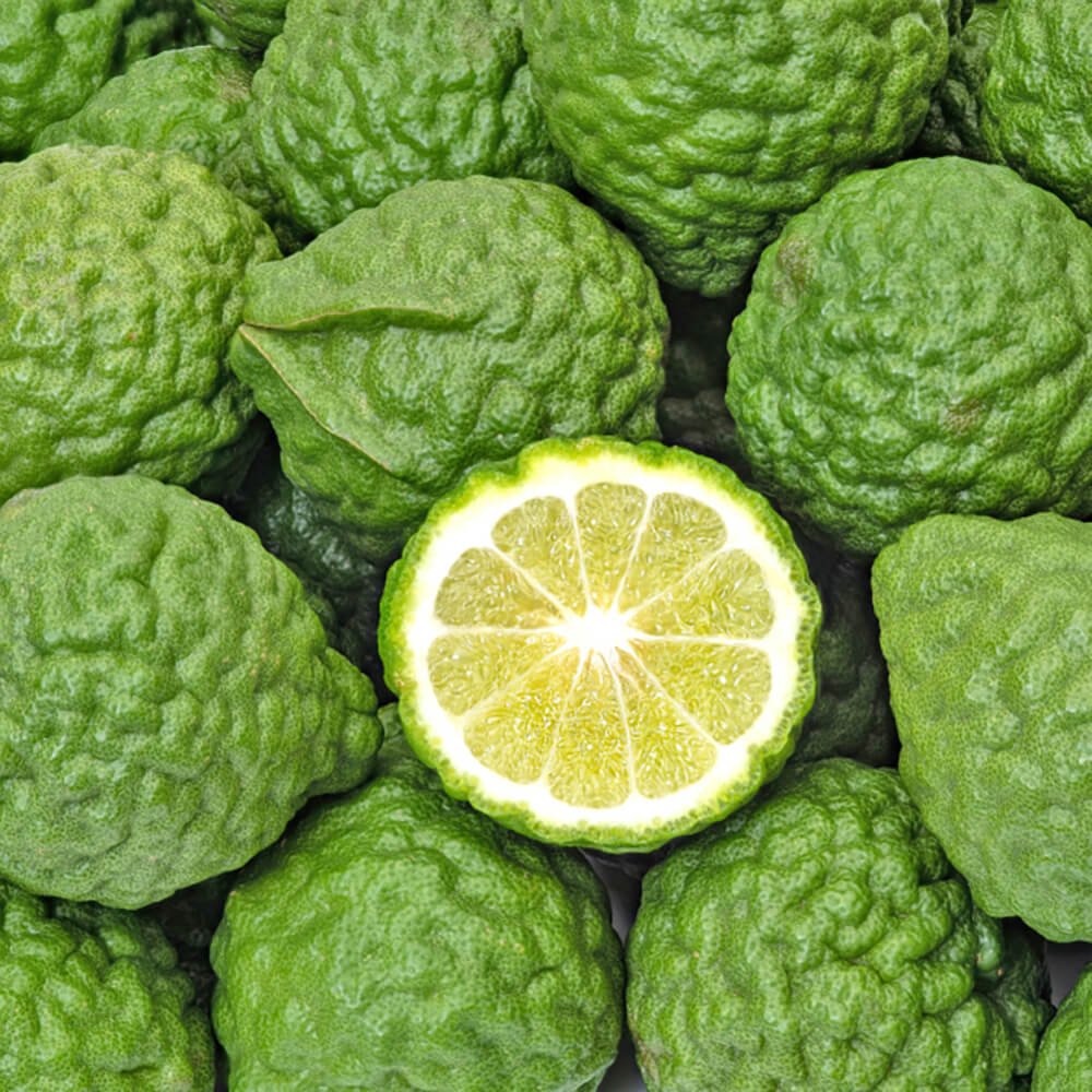 Grafted Kaffir Lemon Fruits