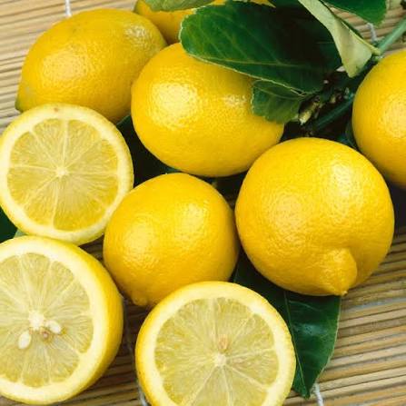Lisbon Lemon