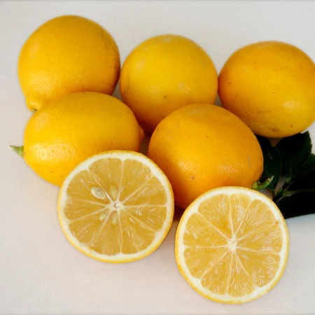 Meyer Lemon