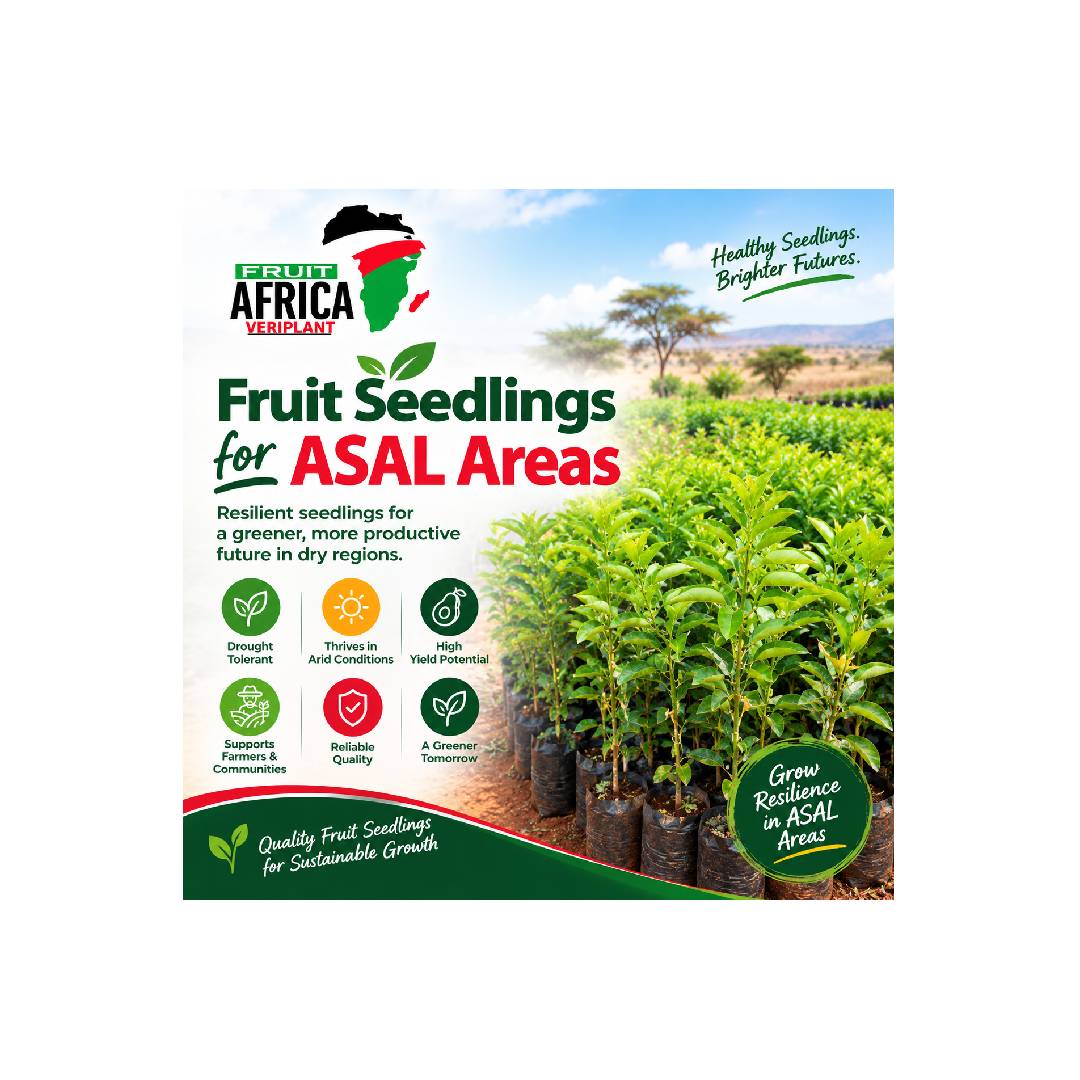 Fruit Seedlings for ASAL Areas