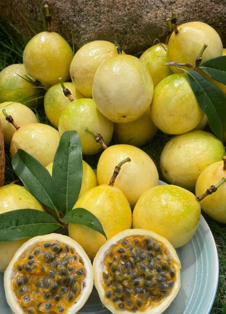 Yellow Passion Fruits