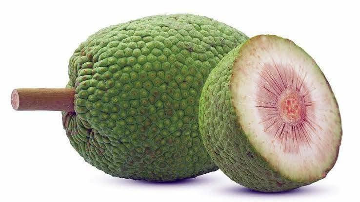 Breadfruit  Kenya
